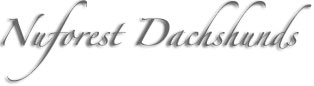 Nuforest Dachshunds
