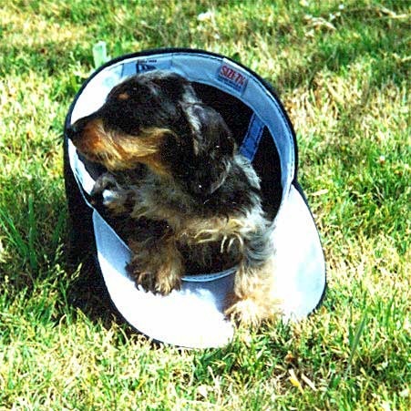 Take Me Out to the Ball Park